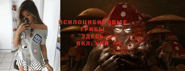 индика Алзамай