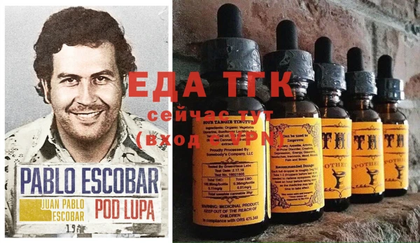 индика Алзамай