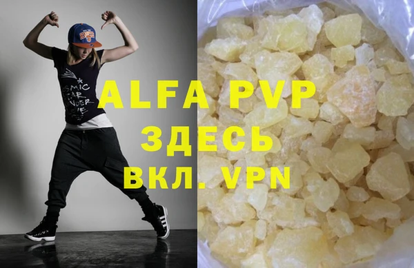 индика Алзамай
