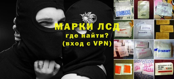 индика Алзамай