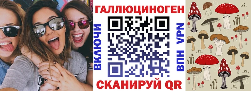 закладка Кызыл мега маркетплейс Псилоцибиновые грибы MAGIC MUSHROOMS